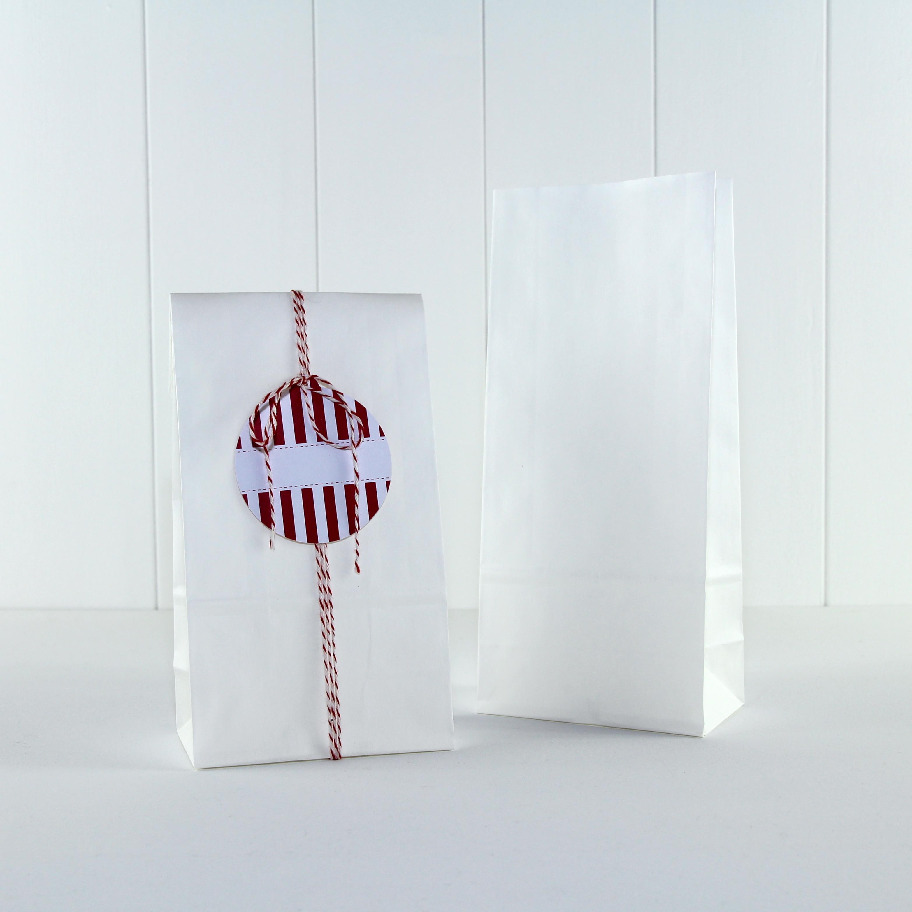 Paper Party Bag ~ White