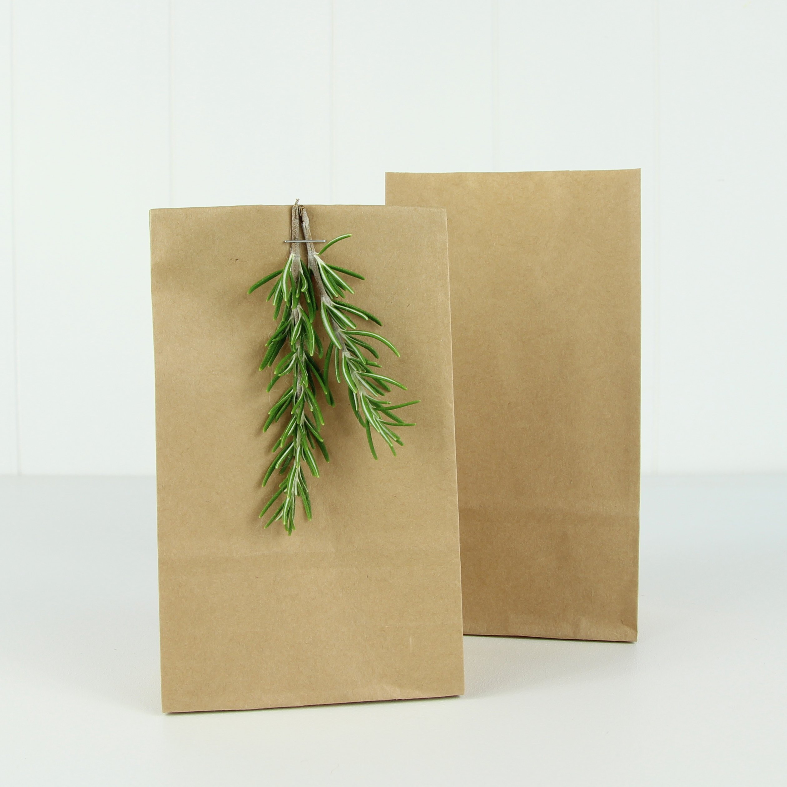 Small Paper Bag ~ Kraft | Small Brown Gift Bags | NZ | Miss Mouse
