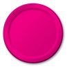 Paper Plates ~ Magenta