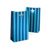 Party Bags ~ Blue Stripes