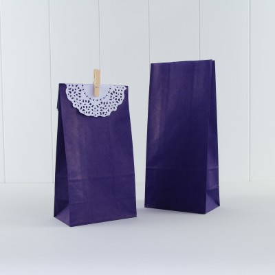 Paper Party Bag ~ Purple