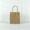 Party Bag with Twist Handle ~ Kraft