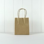 Party Bag with Twist Handle ~ Kraft