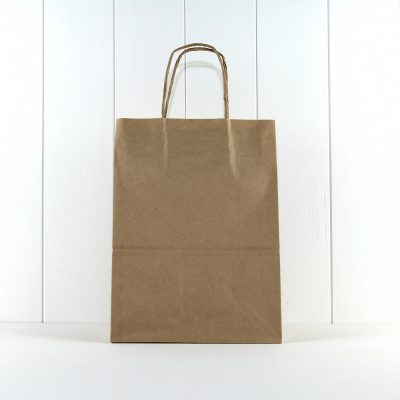 Party Bag with Twist Handle ~ Kraft Large