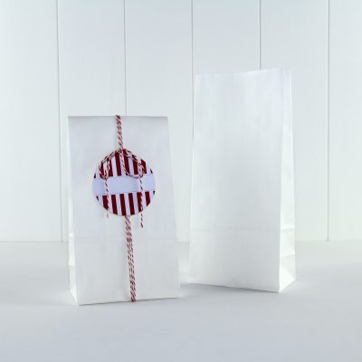 Paper Party Bag ~ White