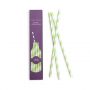 Green & White Stripe Paper Straws by Paper Eskimo