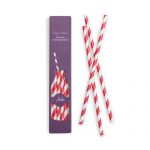 Red & White Stripe Paper Straws by Paper Eskimo