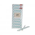 Paper Straws ~ Duck Egg Blue