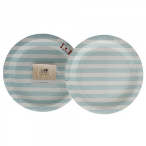 Paper Plates ~ Duck Egg Blue Stripe