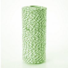 Bakers Twine ~ Apple Green