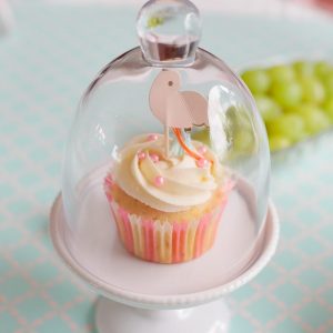 Mini Cupcake Stand & Dome