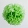 Pom Pom ~ Grasshopper Green