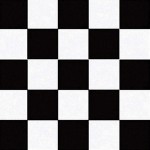 Paper Napkins ~ Black Check