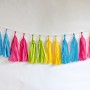 Neon Tassel Garland