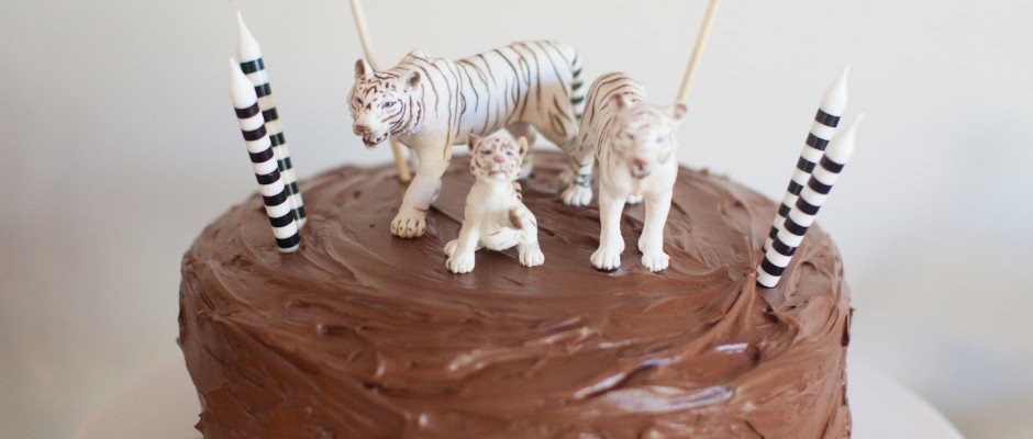 Birthday Cake Decorations