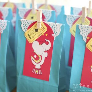 Carnival Party Loot Bags