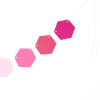 Hexagon Honeycomb Garland ~ Pinks