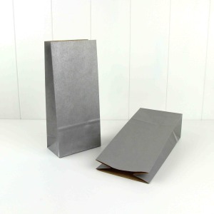 Paper Party Bag ~ Silver