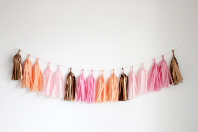 Tassel Garland ~ Sorbet