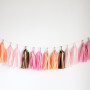 Tassel Garland ~ Sorbet