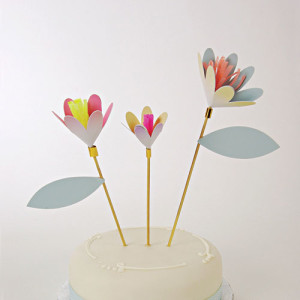 Cake Decorating Supplies | Cake Toppers | Auckland | NZ