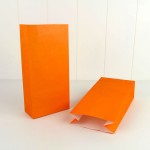 Party Bags ~ Orange