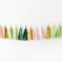 Tassel Garland ~ Frond