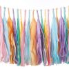 Pastel Rainbow Tassel Garland