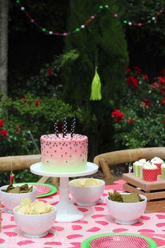 Watermelon Birthday Party