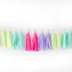 Tassel Garland ~ Fiesta