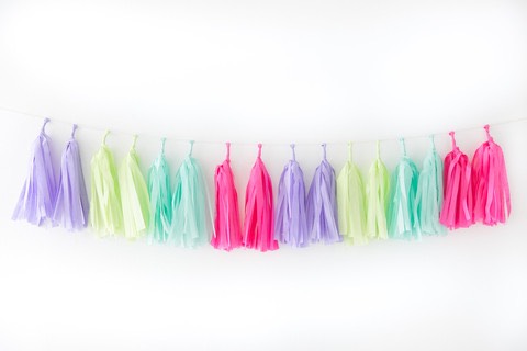 Tassel Garland ~ Fiesta