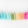 Tassel Garland ~ Rainbow