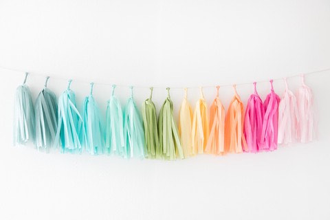 Tassel Garland ~ Rainbow