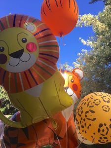 Lion and Tiger Party Balloons by Northstar Balloons for a safari party.